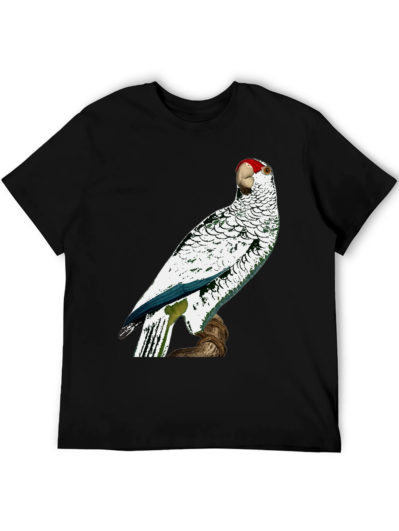 Parrot Graphic Tee - Unique Bird Design