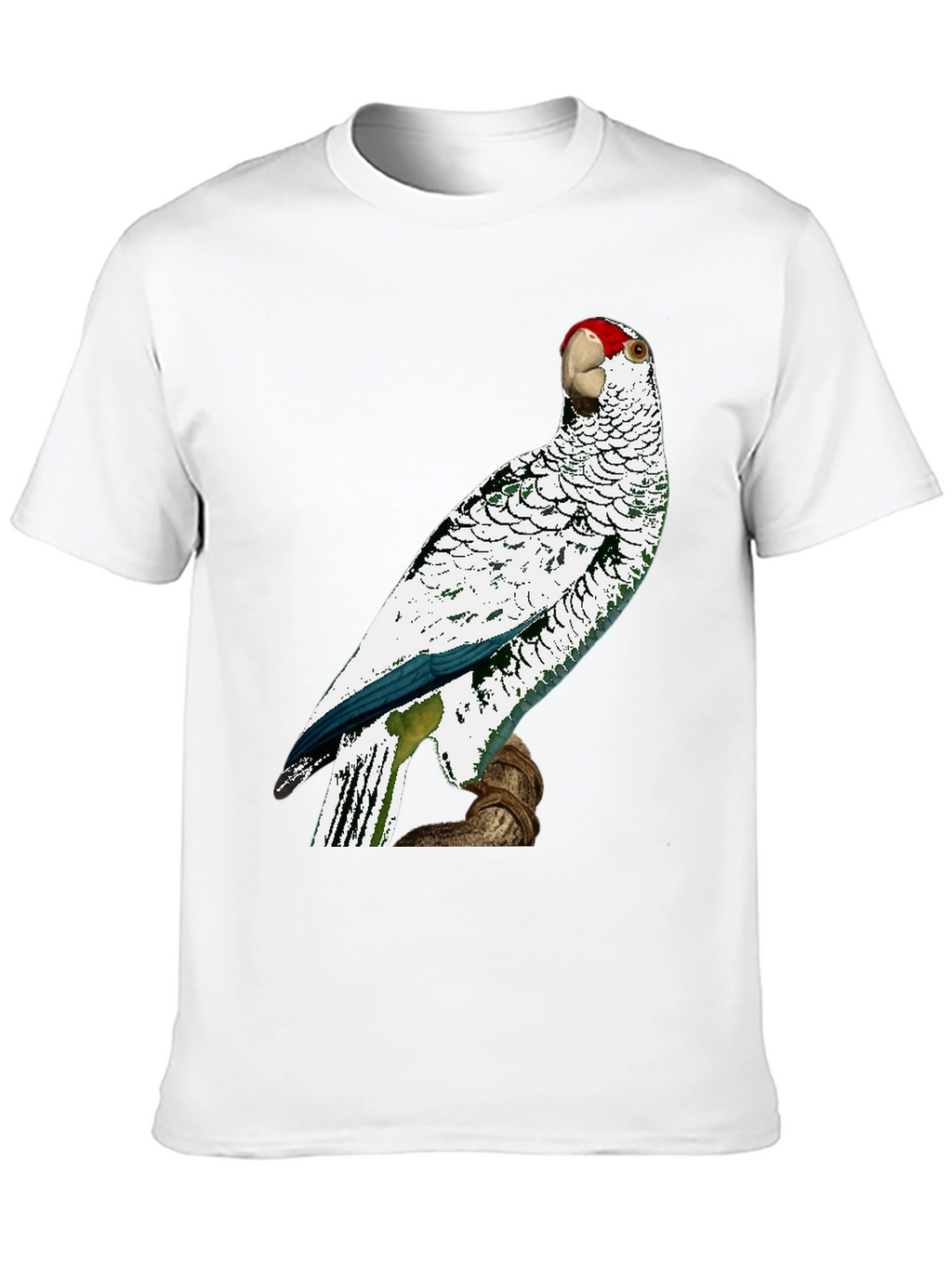 Parrot Graphic Tee - Unique Bird Design