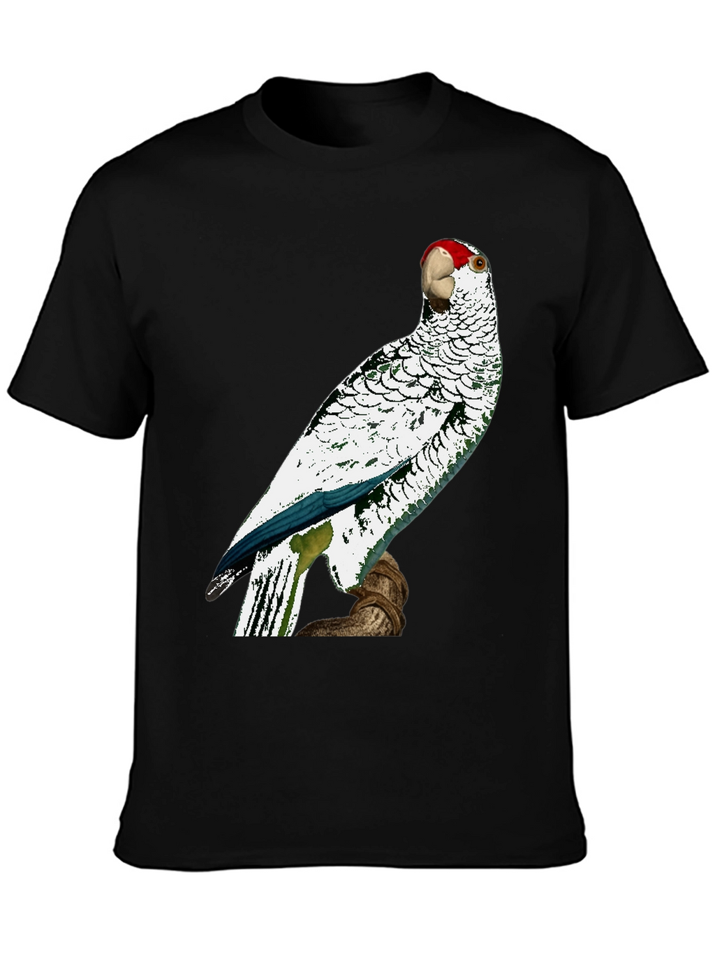 Parrot Graphic Tee - Unique Bird Design