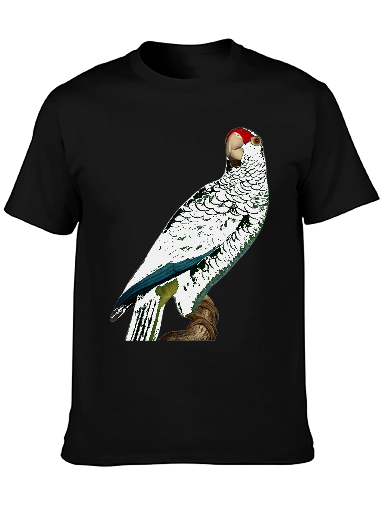 Parrot Graphic Tee - Unique Bird Design