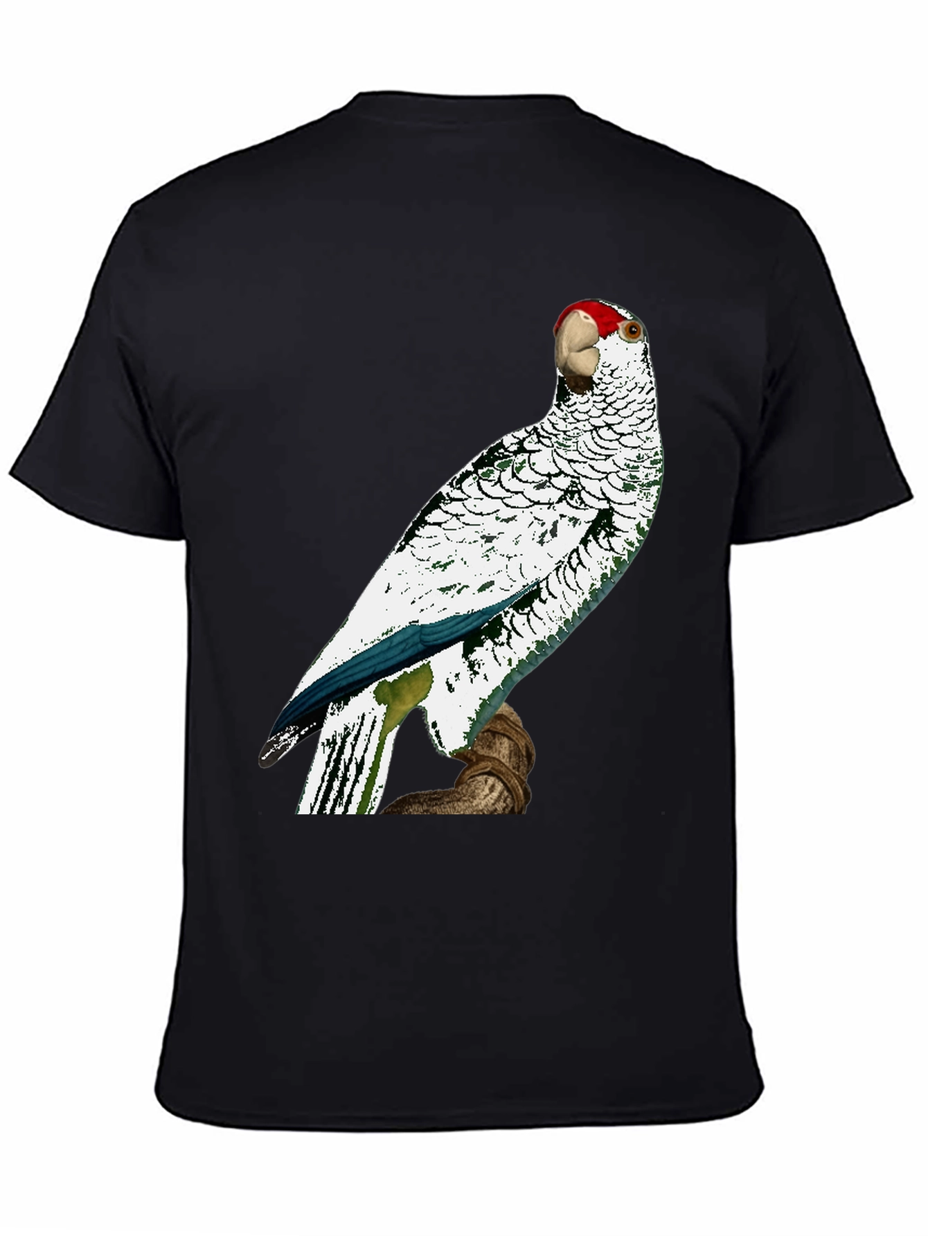 Parrot Graphic Tee - Unique Bird Design