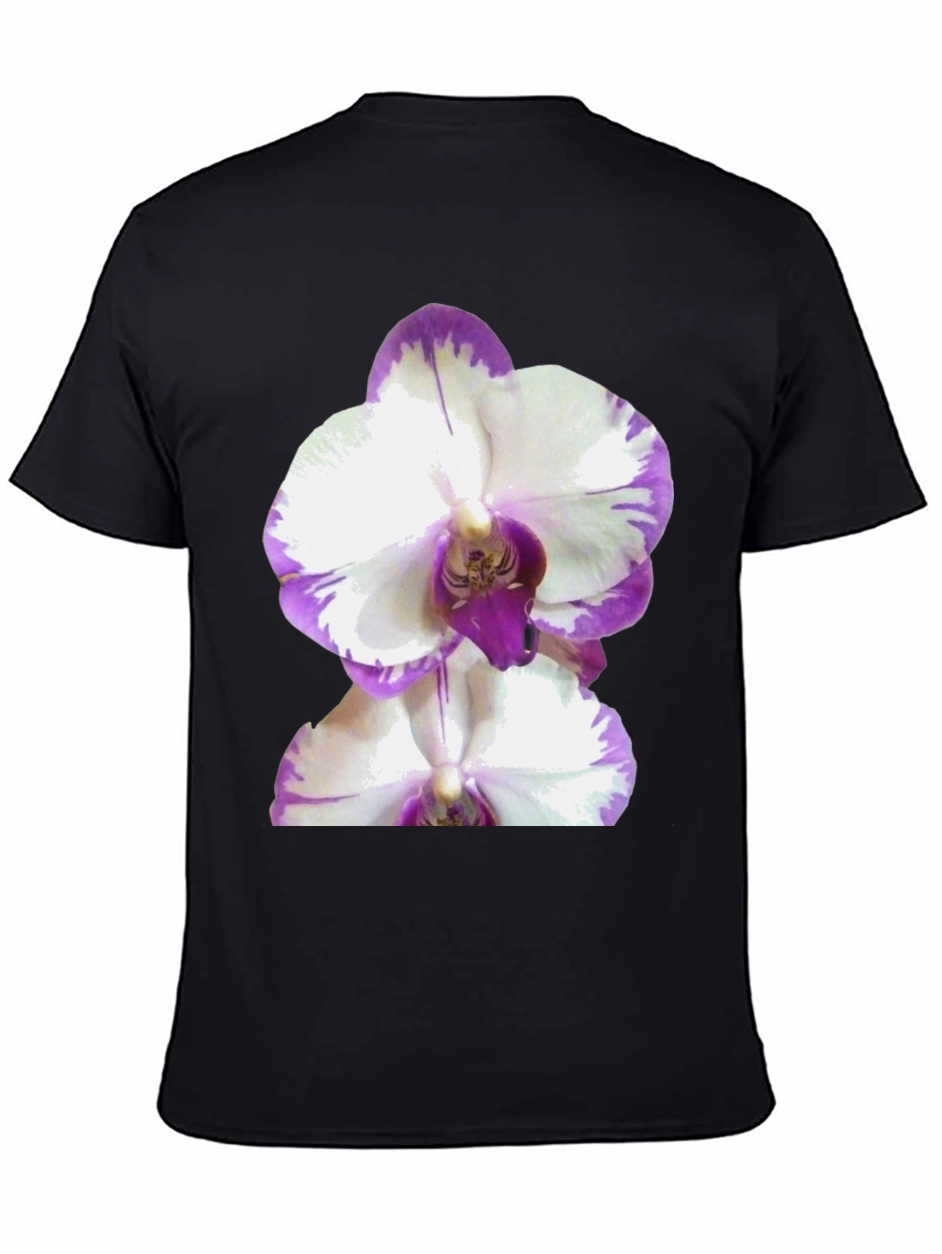 Orchid Graphic Tee - Black Cotton T-Shirt