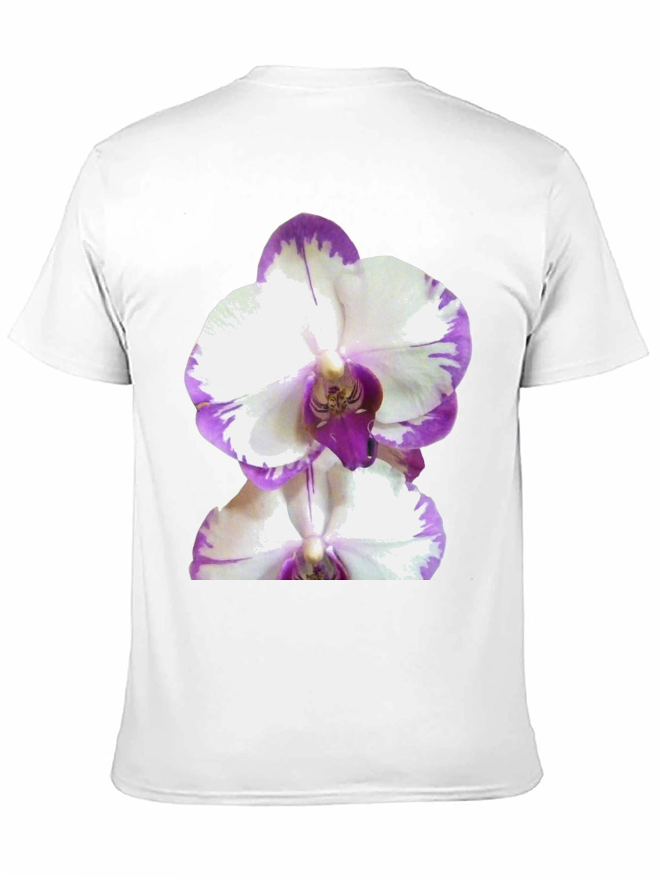 Orchid Graphic Tee - Black Cotton T-Shirt