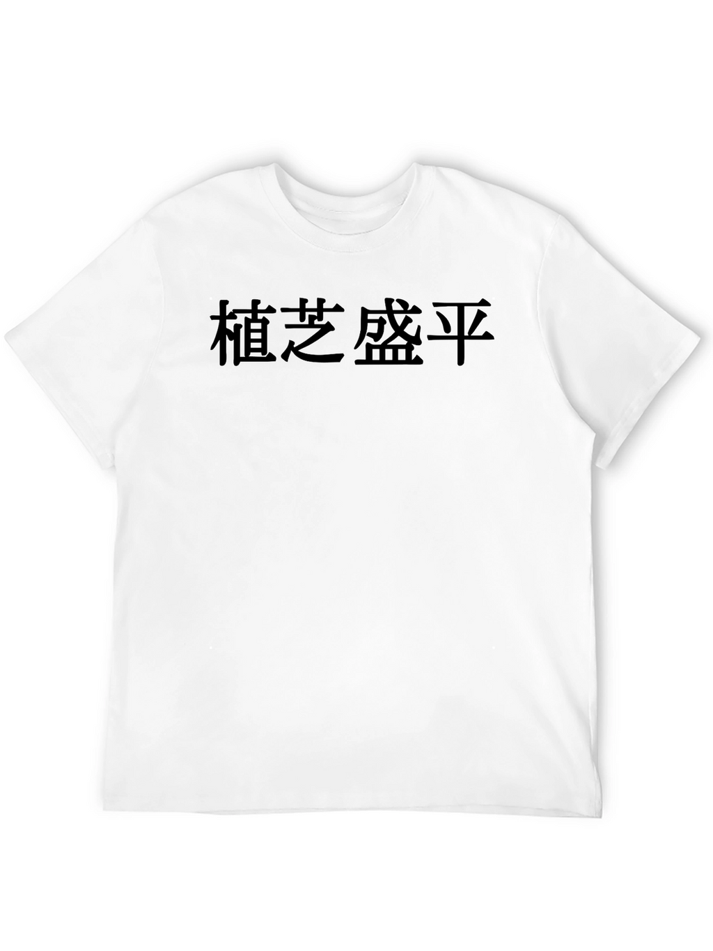 Minimalist Black T-Shirt with Asian Text
