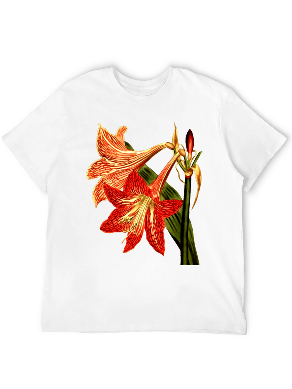 Floral Print T-Shirt: Red Amaryllis Flower Tee