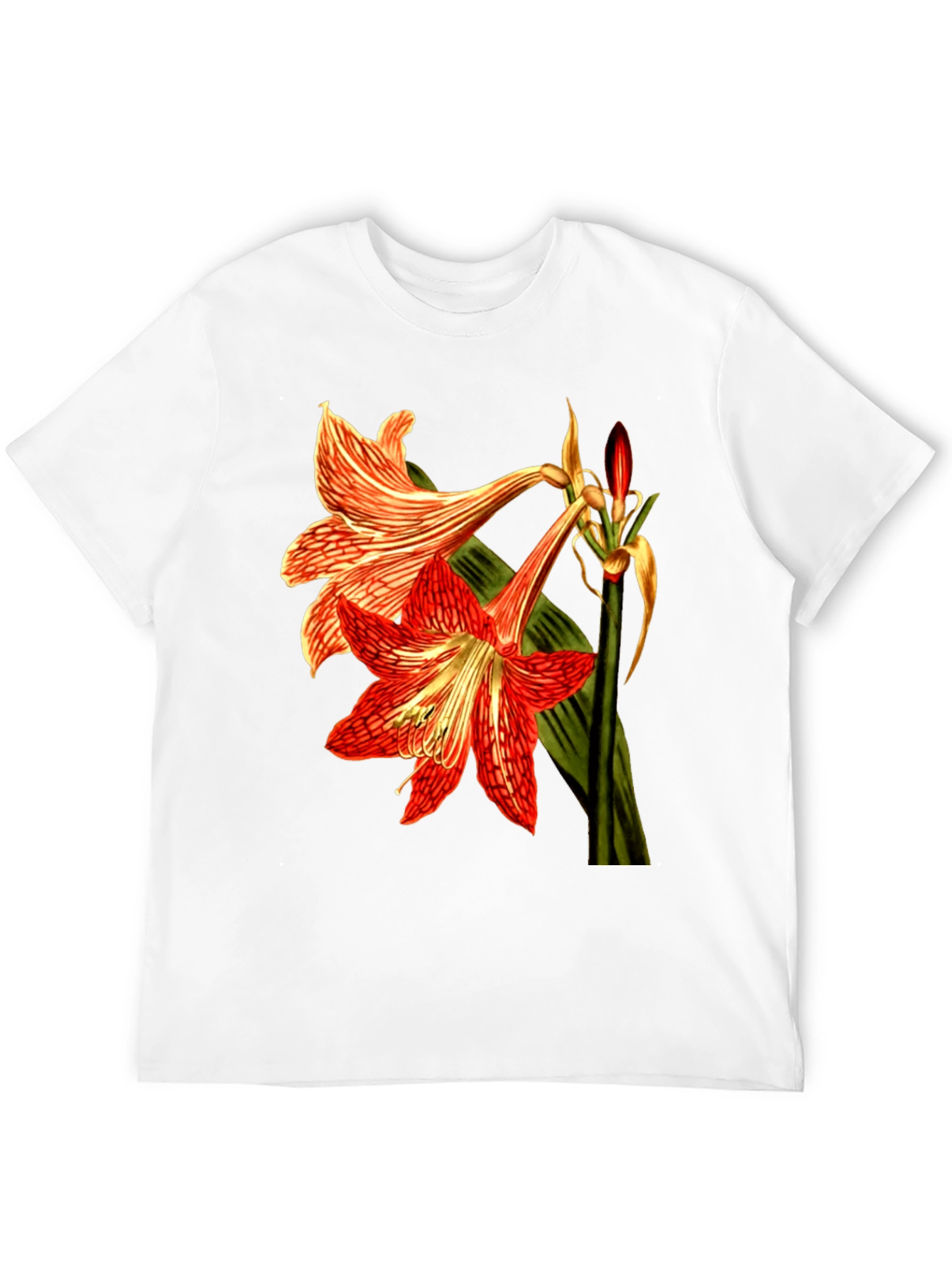 Floral Print T-Shirt: Red Amaryllis Flower Tee