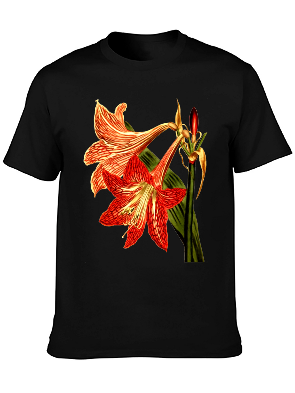 Floral Print T-Shirt: Red Amaryllis Flower Tee