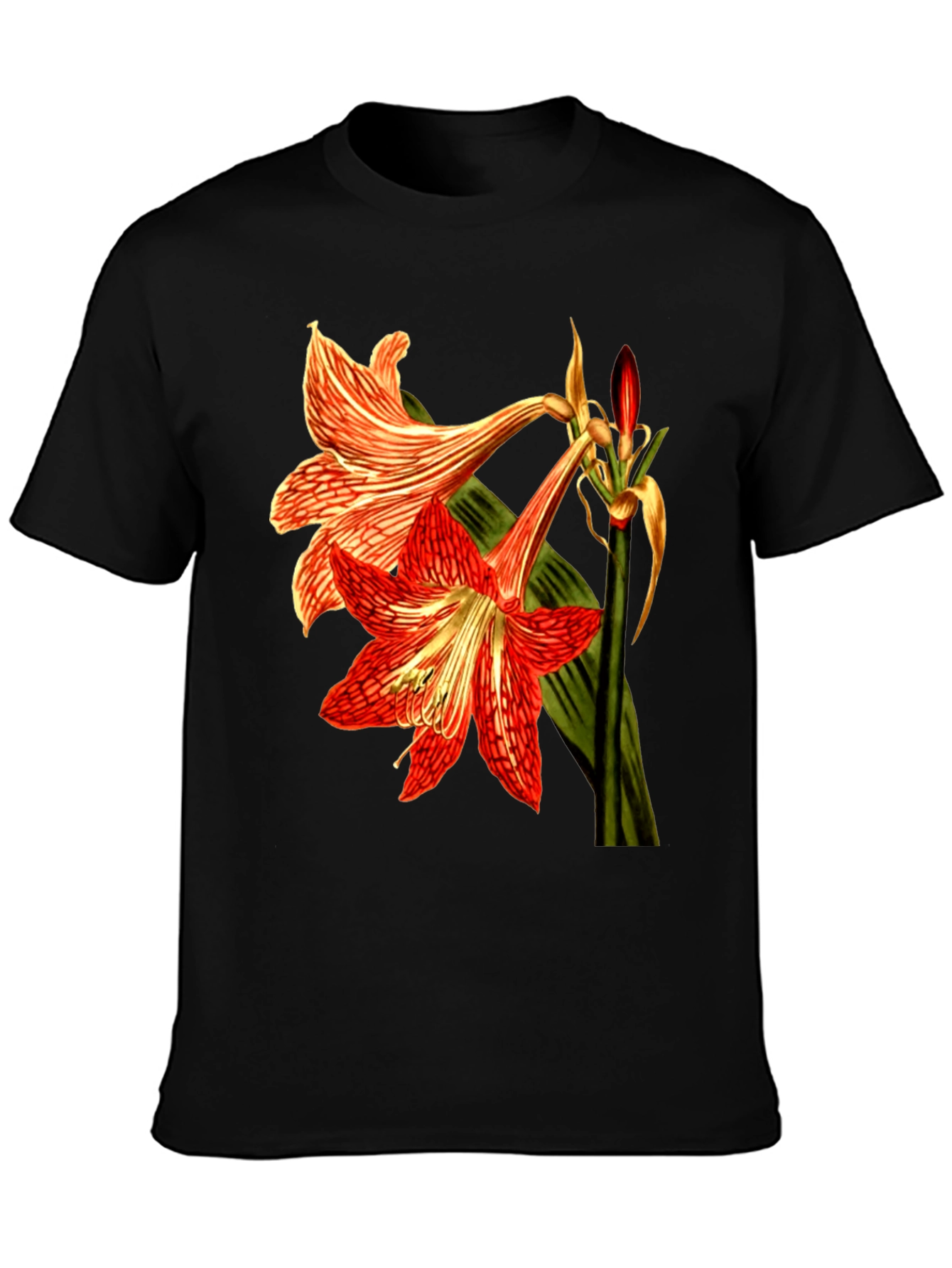 Floral Print T-Shirt: Red Amaryllis Flower Tee