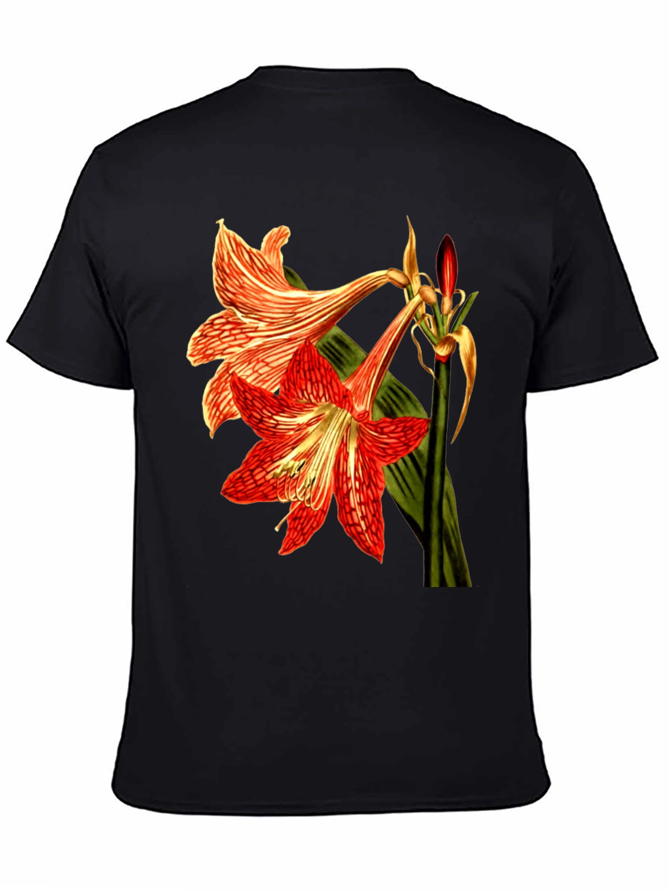 Floral Print T-Shirt: Red Amaryllis Flower Tee