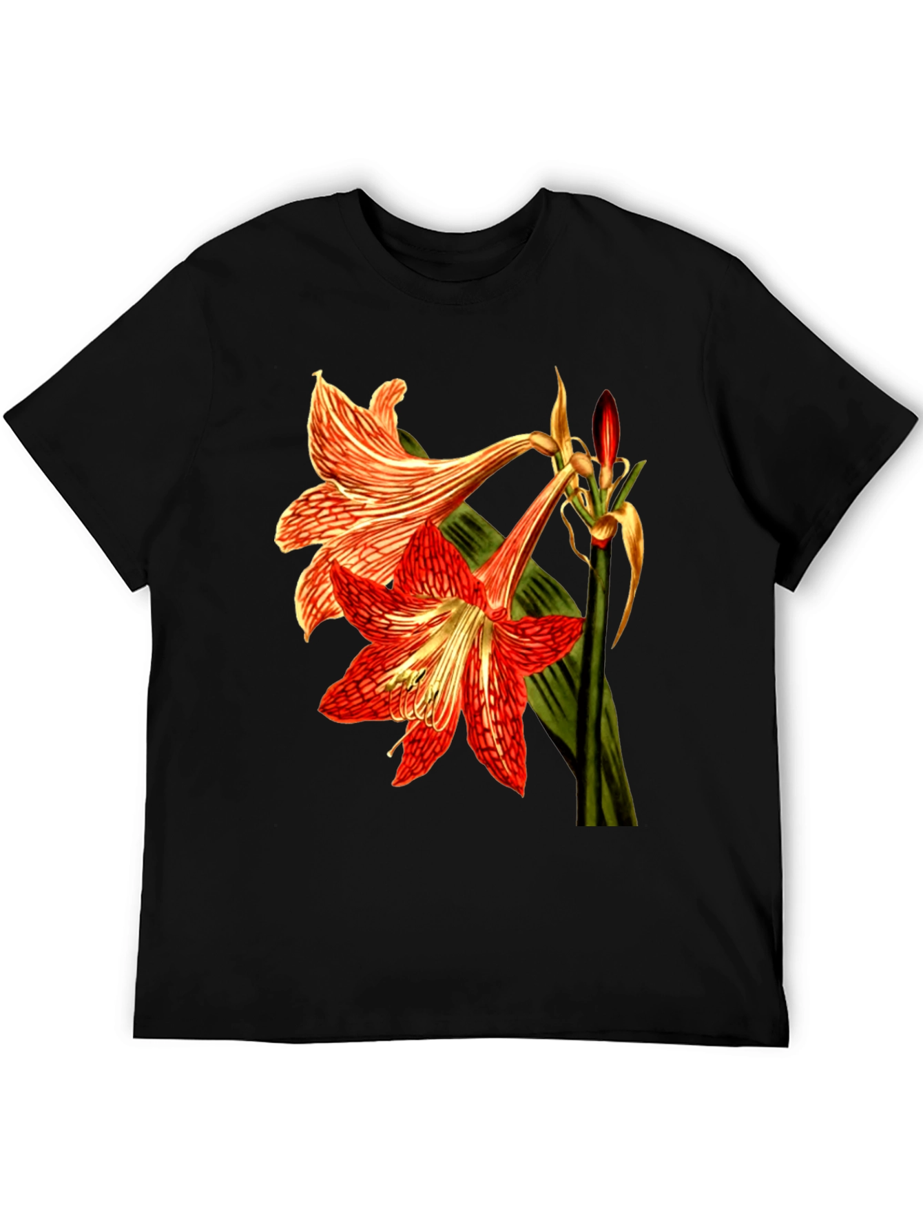Floral Print T-Shirt: Red Amaryllis Flower Tee