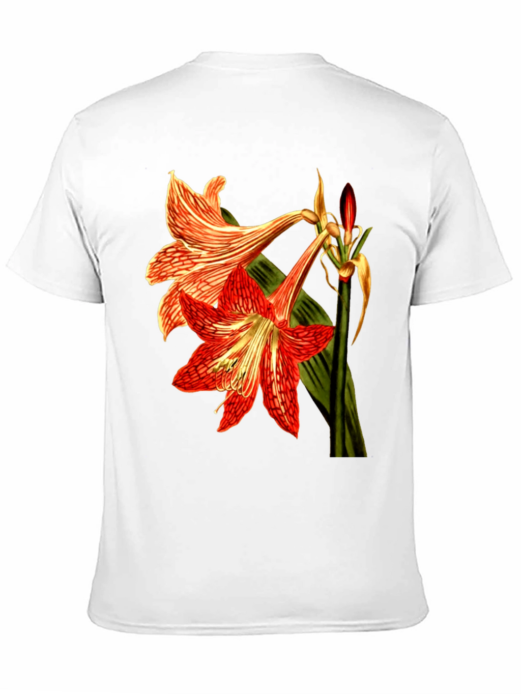 Floral Print T-Shirt: Red Amaryllis Flower Tee