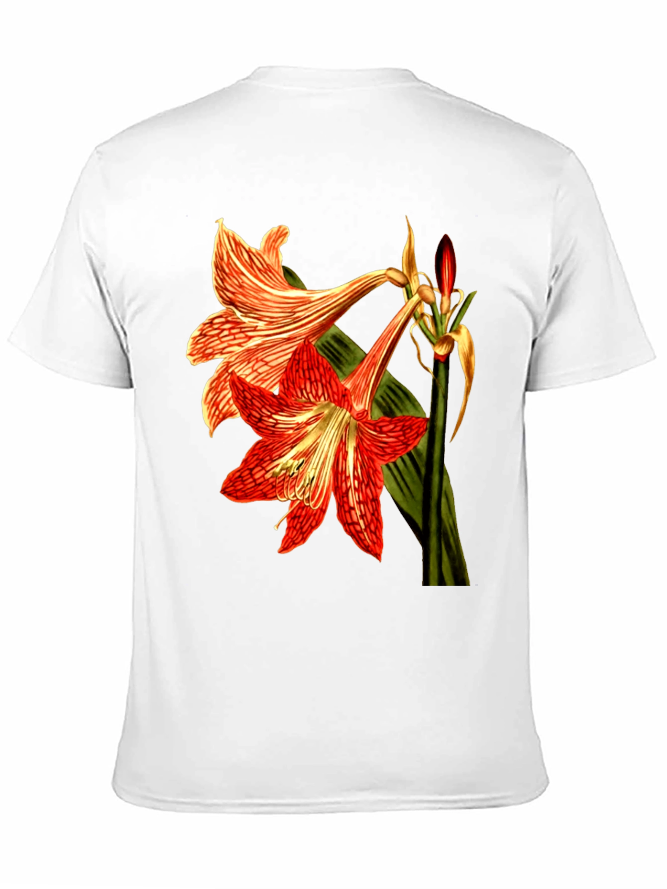 Floral Print T-Shirt: Red Amaryllis Flower Tee