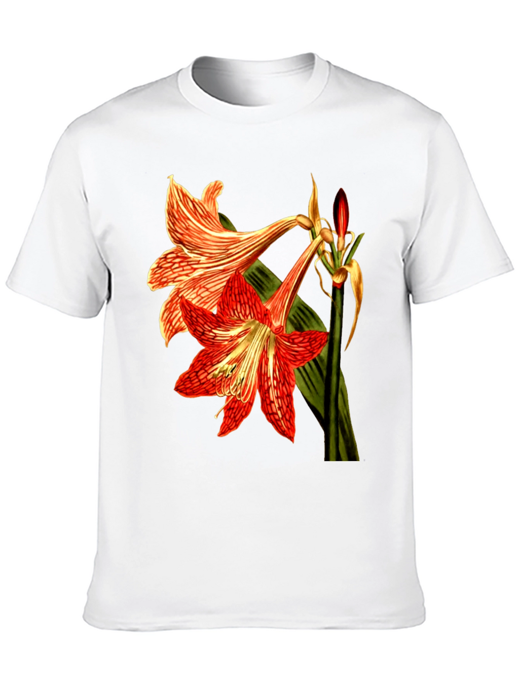 Floral Print T-Shirt: Red Amaryllis Flower Tee