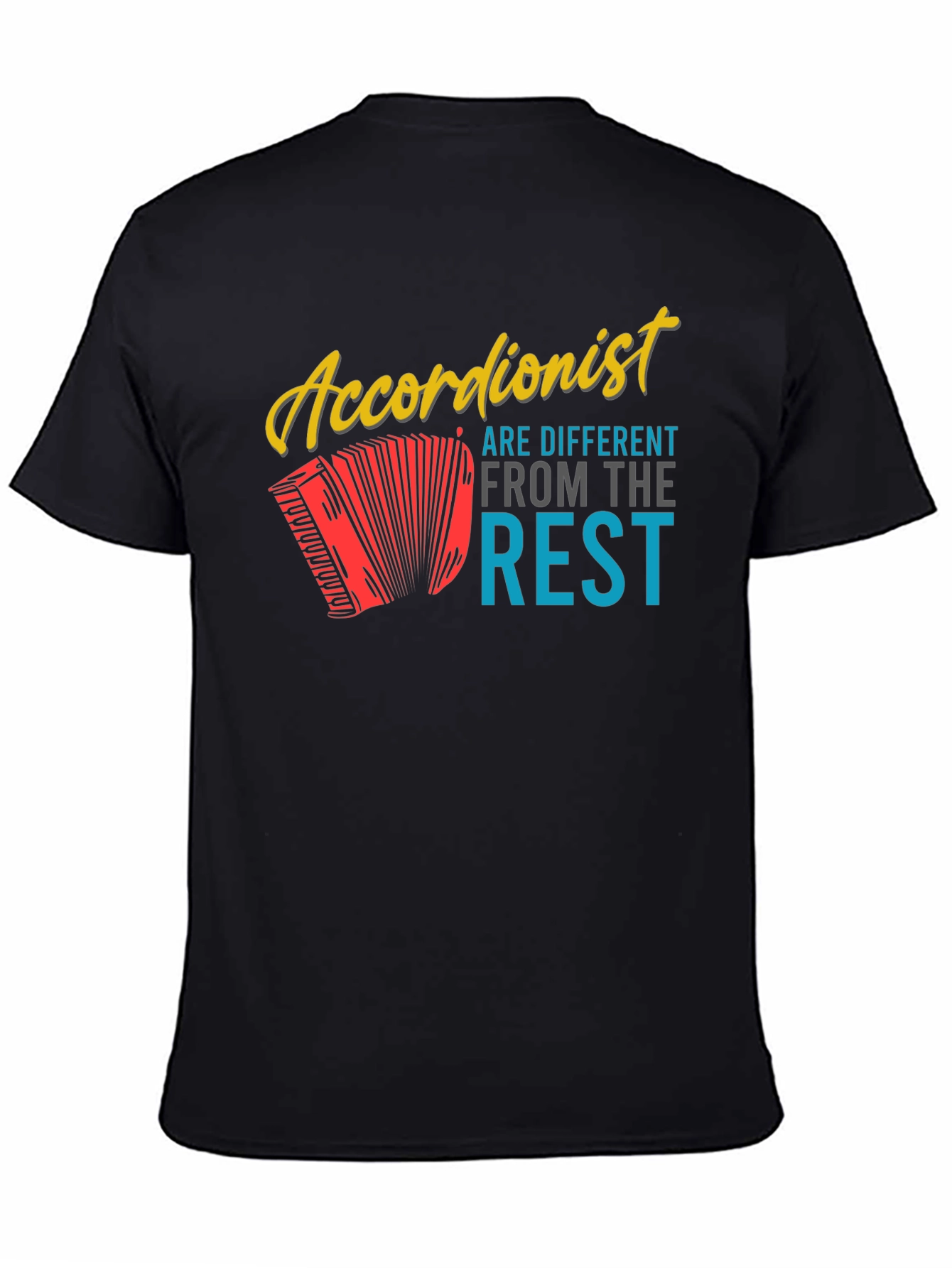 Accordionist Different from the Rest Graphic Tee