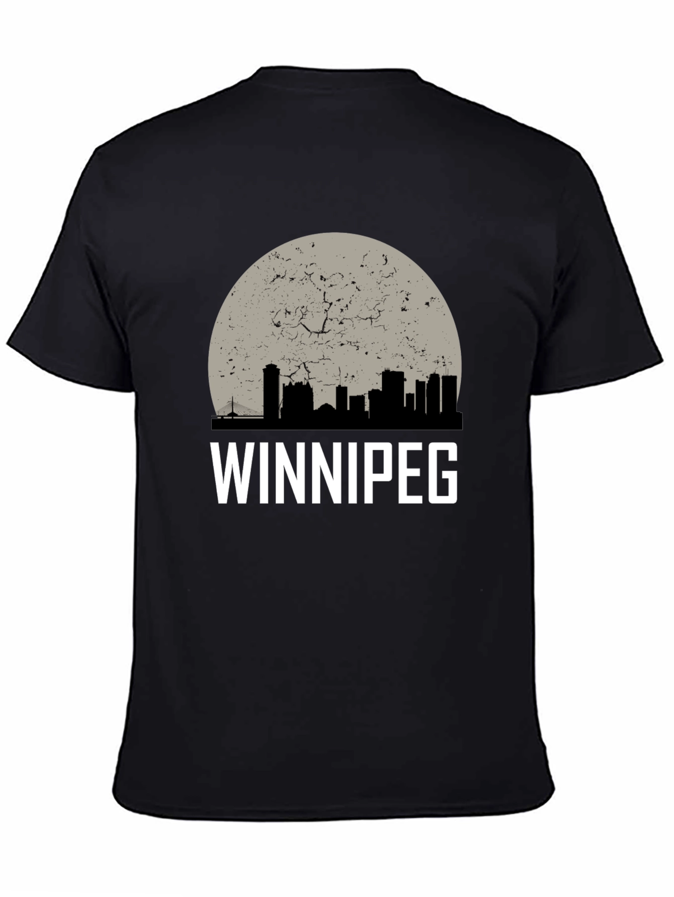 Winnipeg Skyline Graphic T-Shirt - Black