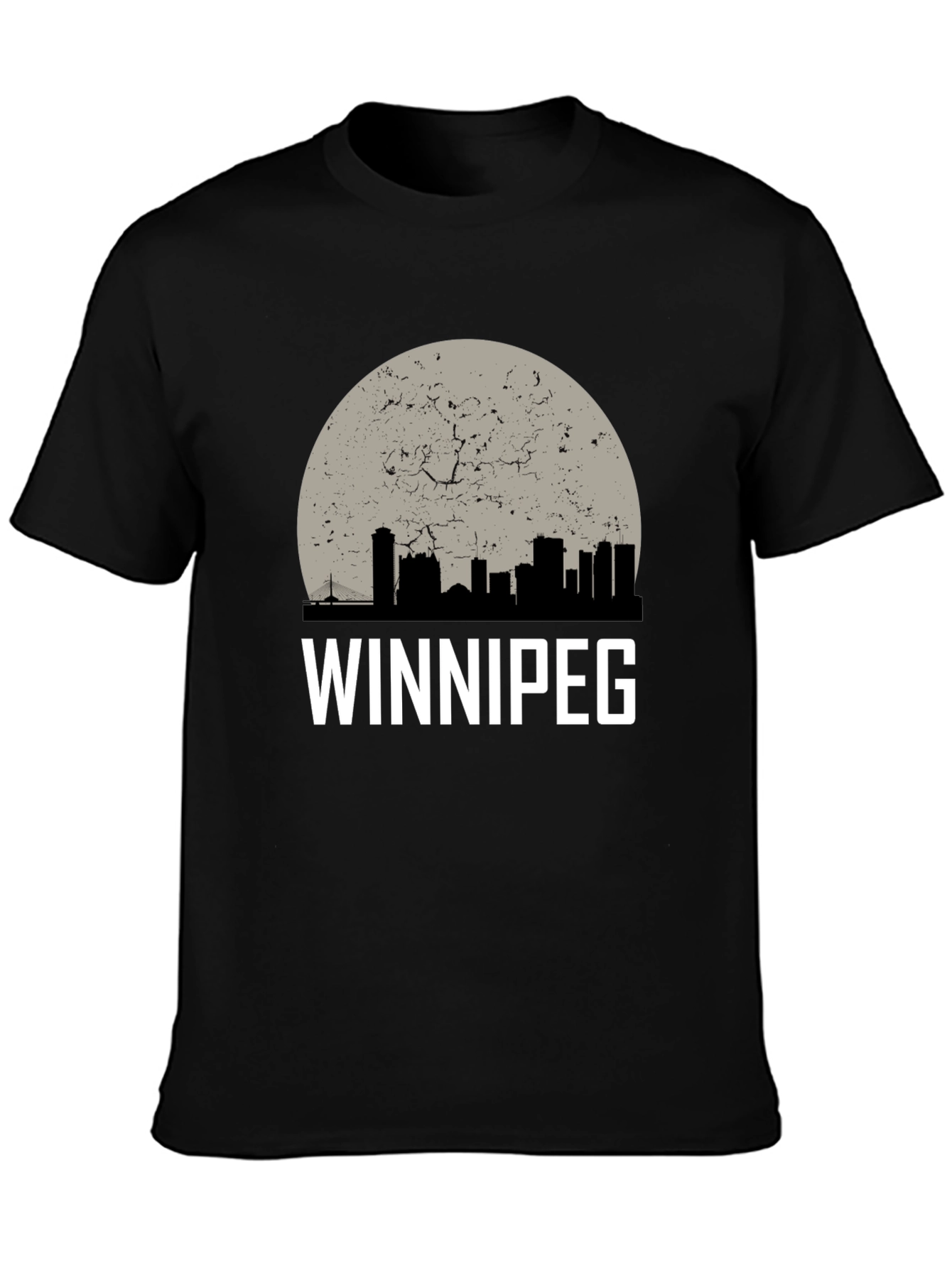 Winnipeg Skyline Graphic T-Shirt - Black