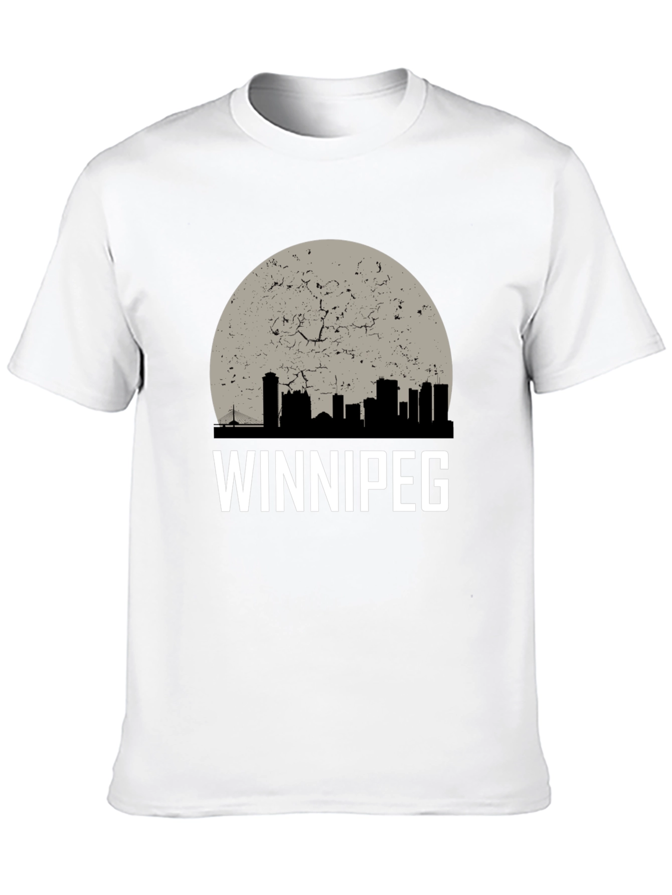 Winnipeg Skyline Graphic T-Shirt - Black