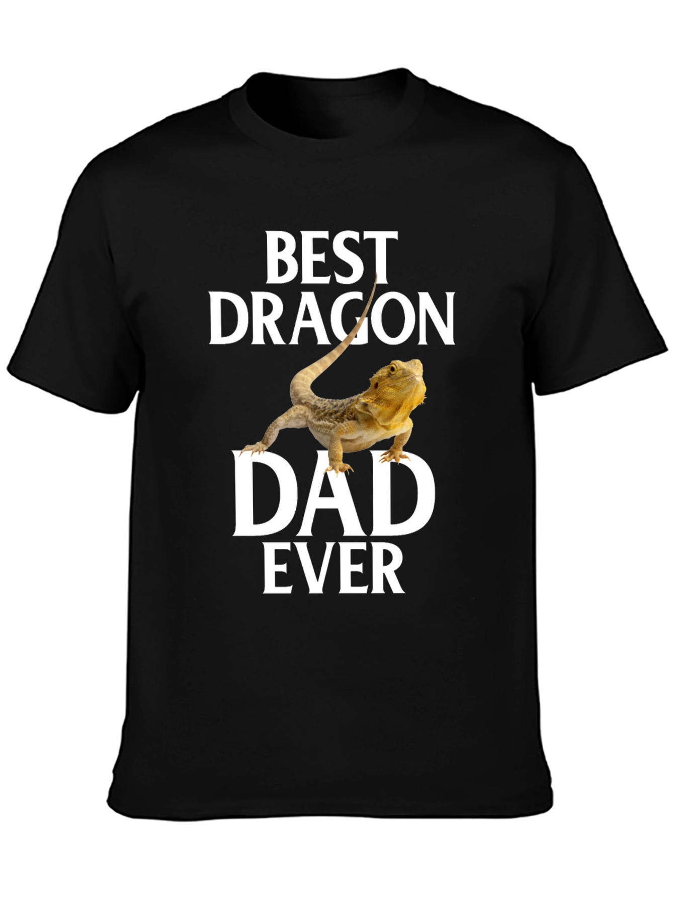 Best Dragon Dad Ever T-Shirt