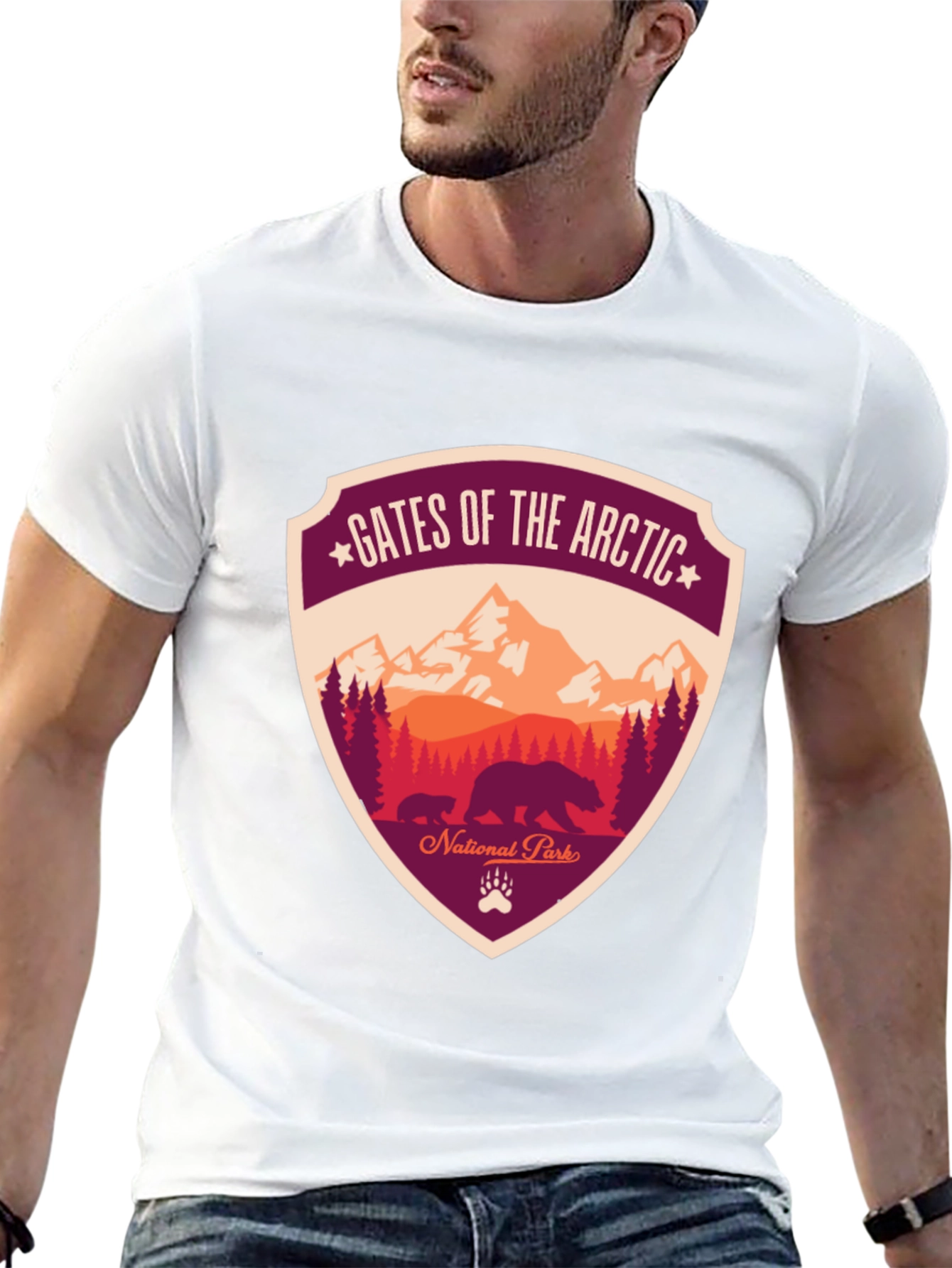 Gates of the Arctic National Park T-Shirt