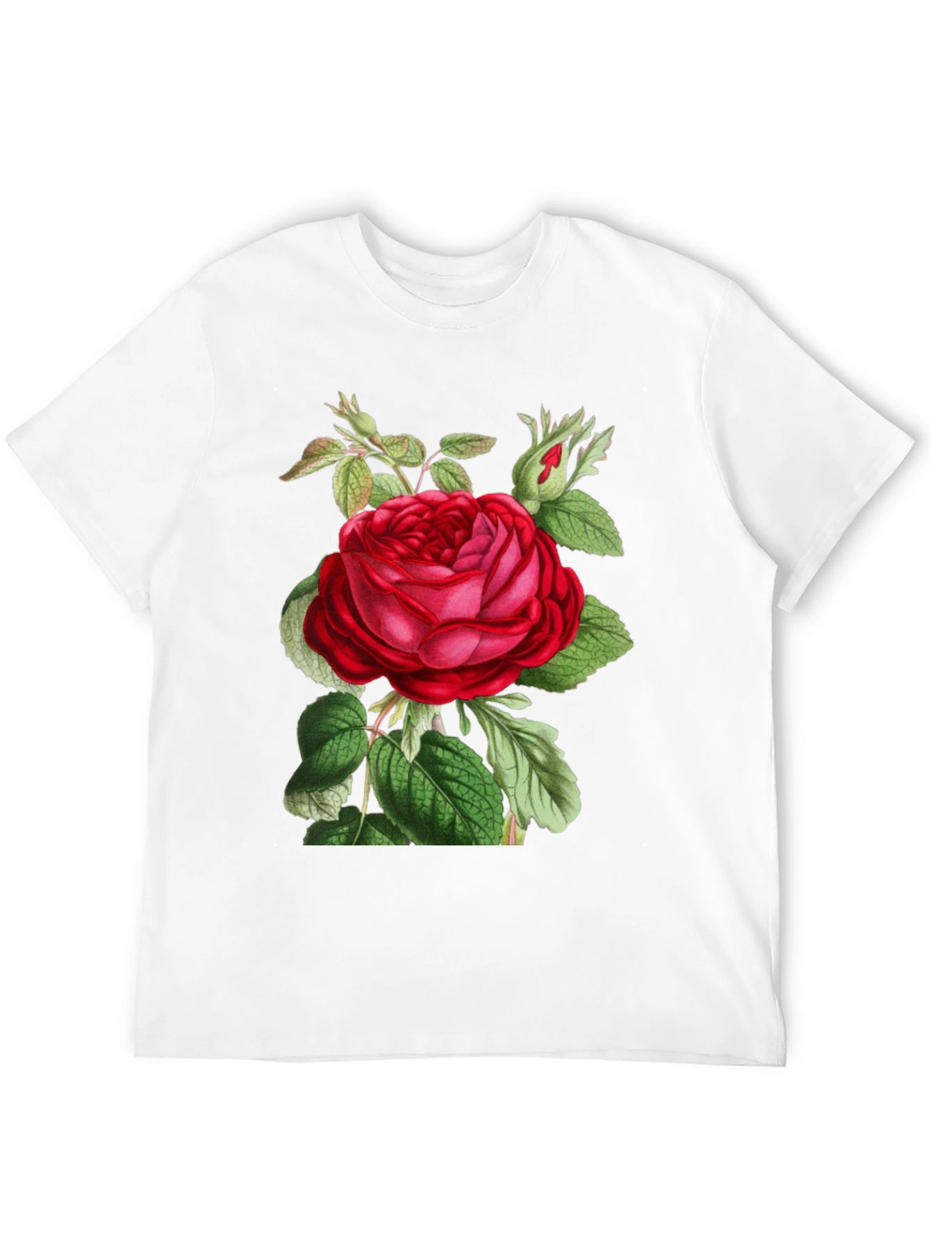 Botanical Rose Graphic Tee