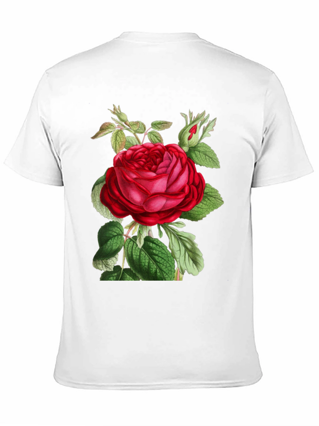 Botanical Rose Graphic Tee