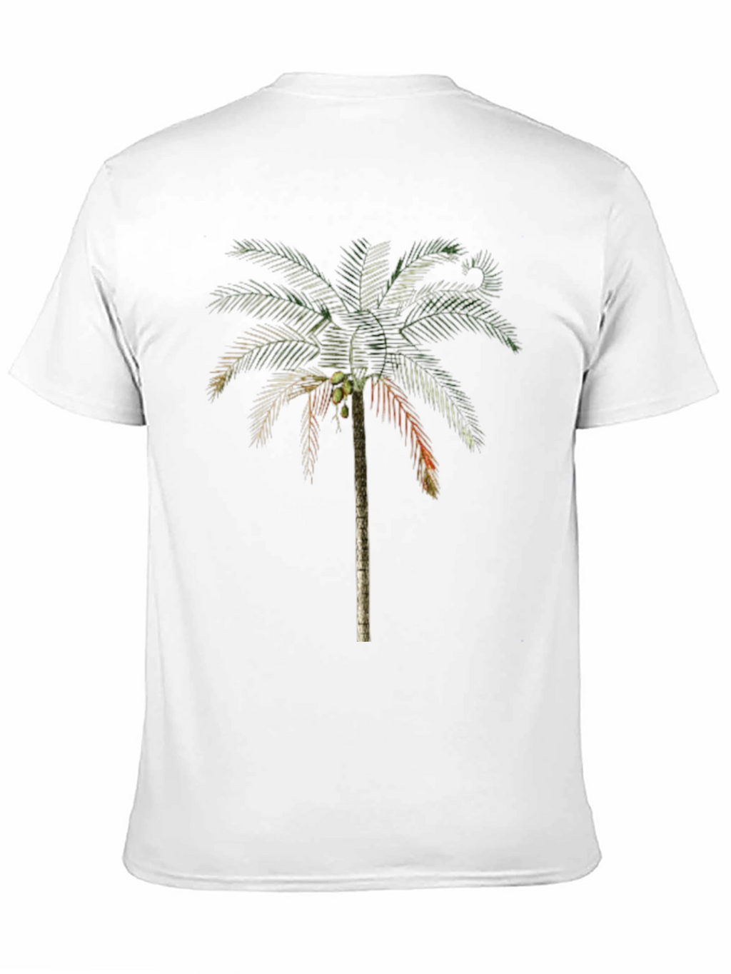 Palm Tree Graphic T-Shirt - Tropical Vibe Tee
