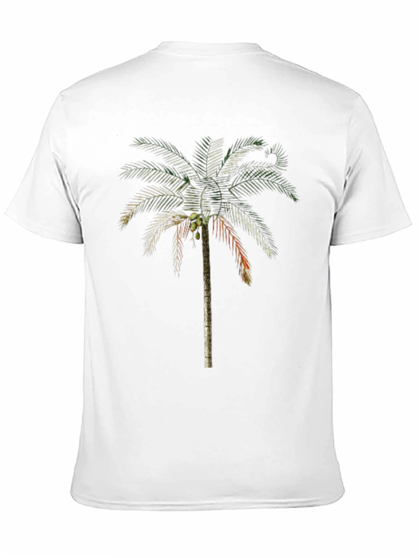 Palm Tree Graphic T-Shirt - Tropical Vibe Tee
