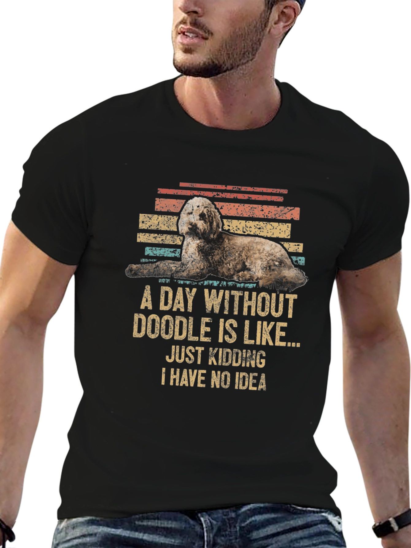 Doodle Dog Graphic Tee: A Day Without Doodle - Funny T-Shirt