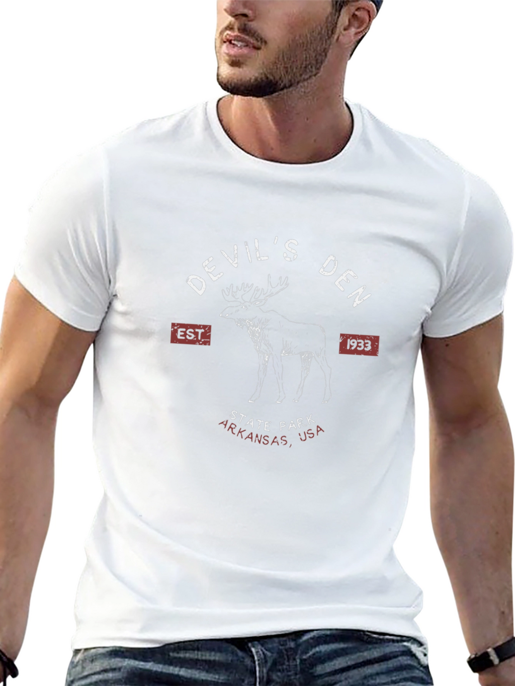 Devils Den State Park T-Shirt