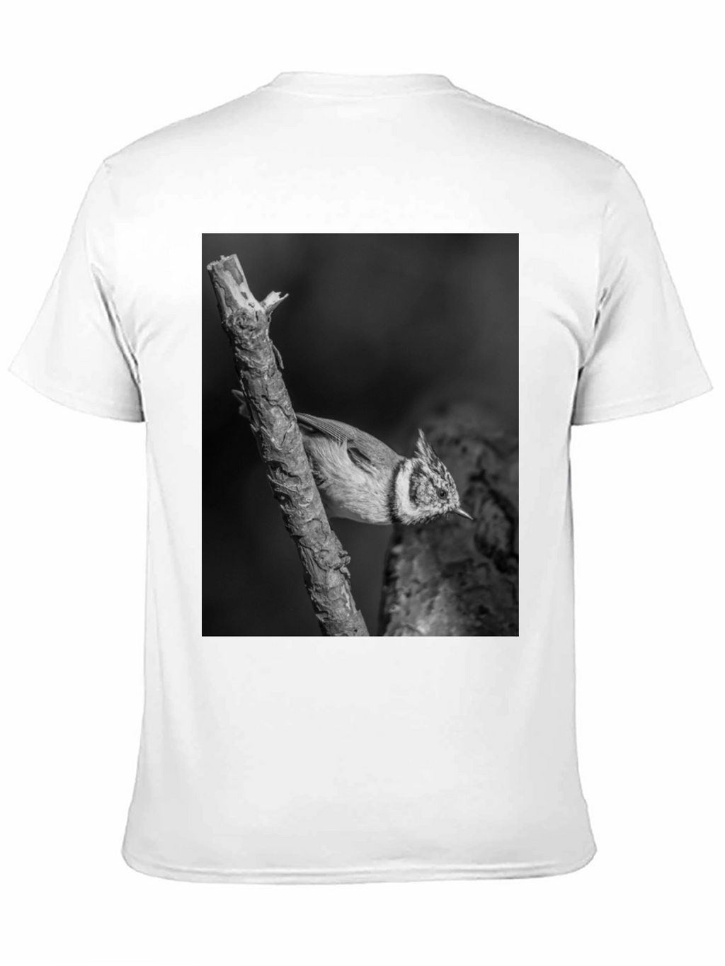Bird on Branch Black T-Shirt
