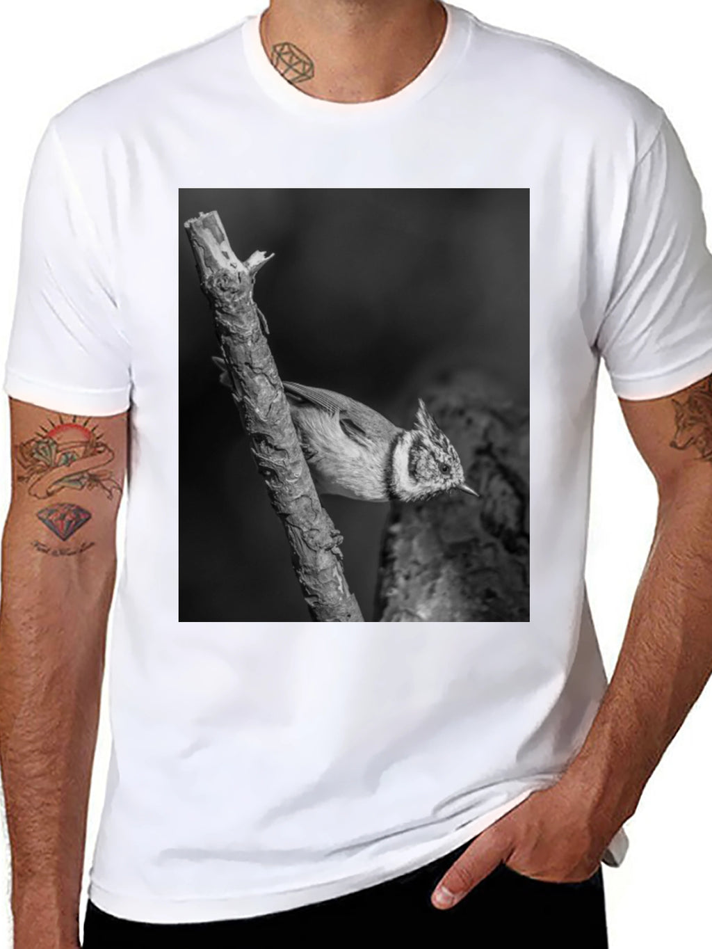 Bird on Branch Black T-Shirt