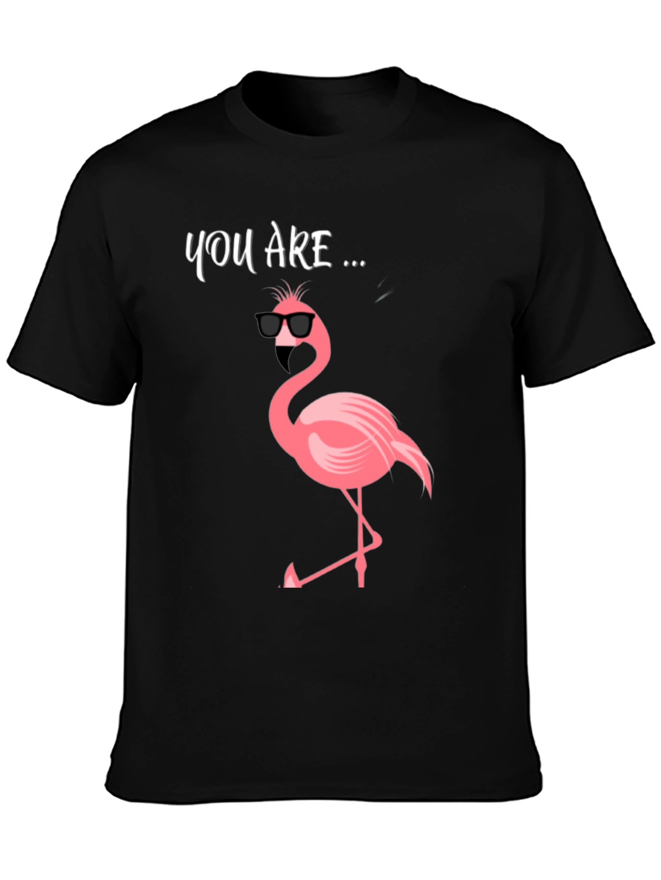 Cool Flamingo Graphic Tee - Mens Black T-Shirt