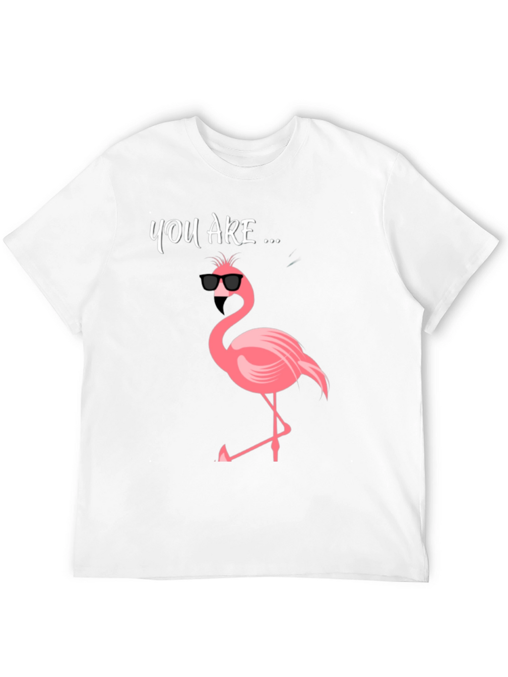Cool Flamingo Graphic Tee - Mens Black T-Shirt