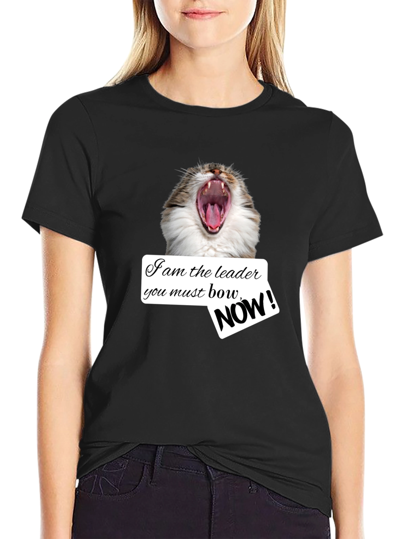 Funny Cat T-Shirt - I am the Leader Bow NOW! - Black