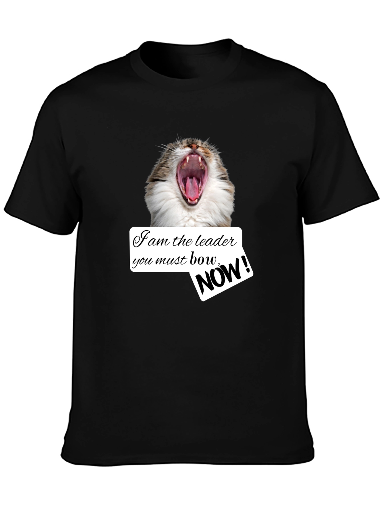 Funny Cat T-Shirt - I am the Leader Bow NOW! - Black