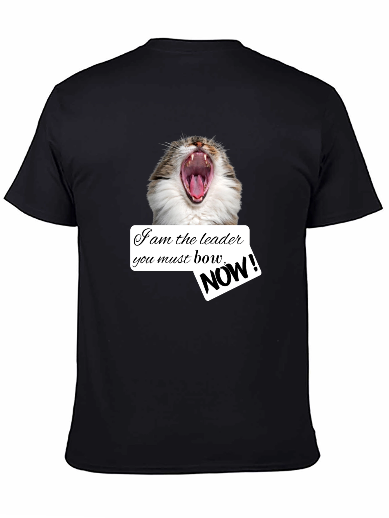 Funny Cat T-Shirt - I am the Leader Bow NOW! - Black