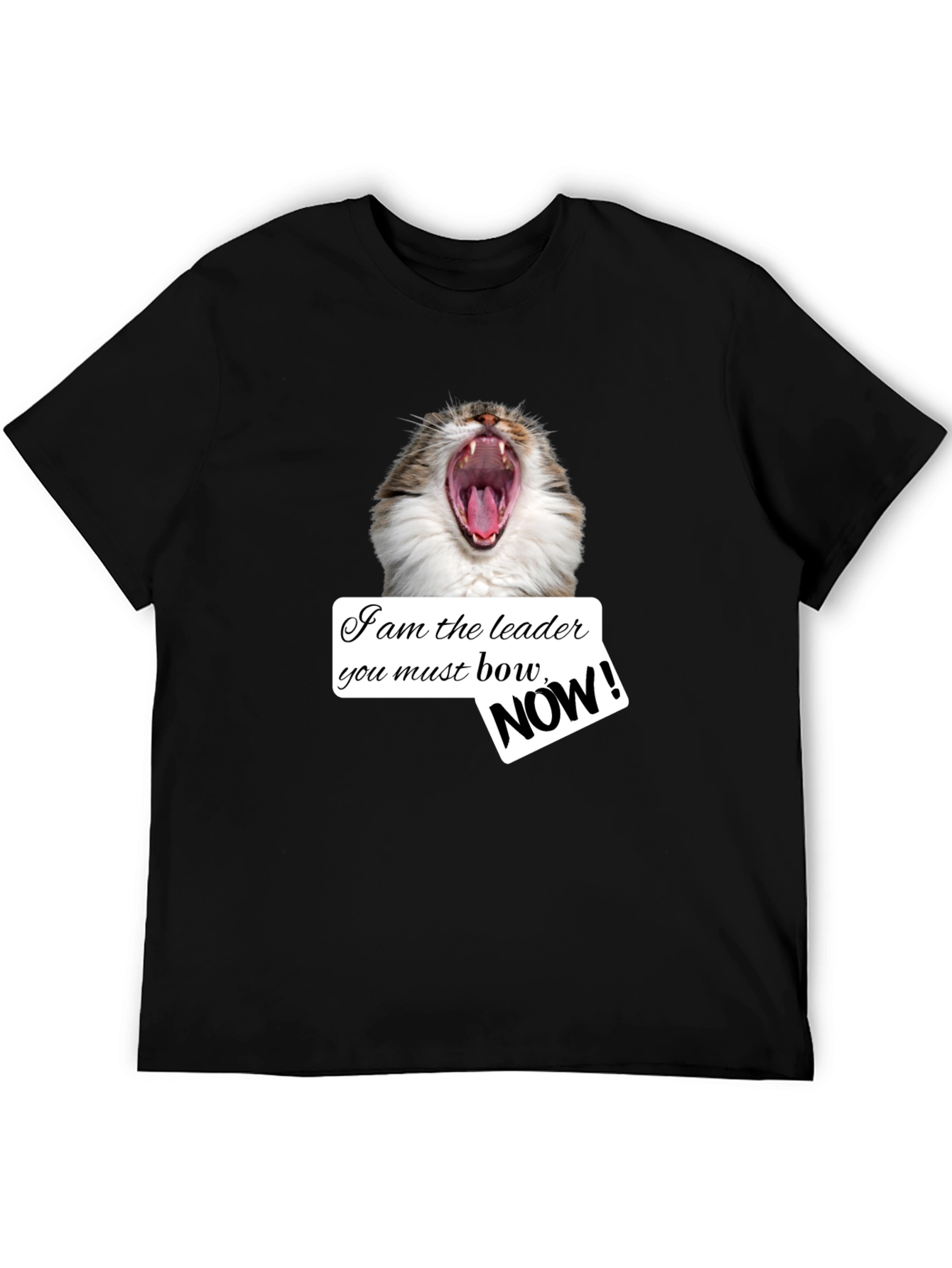 Funny Cat T-Shirt - I am the Leader Bow NOW! - Black
