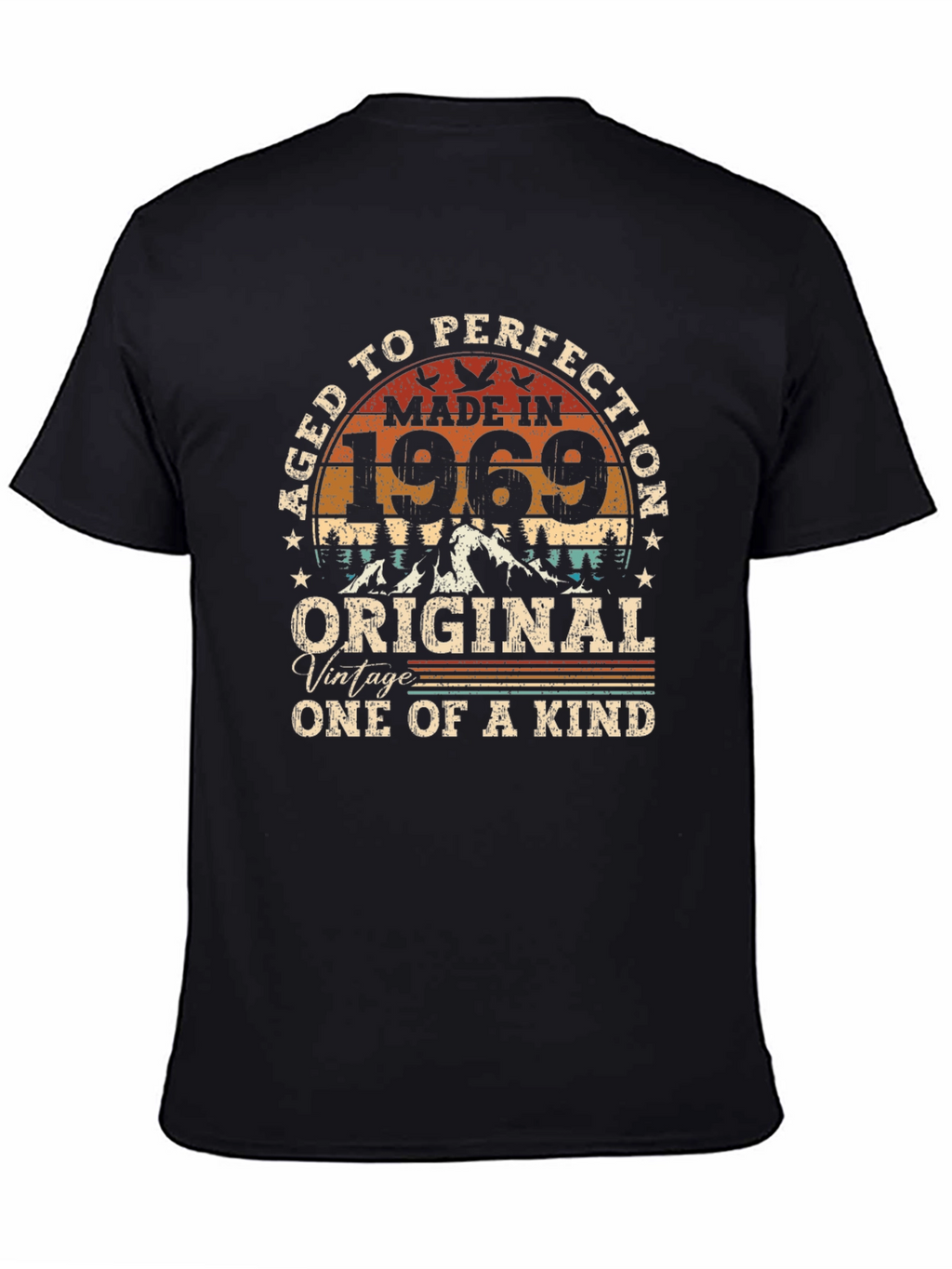 Aged to Perfection 1969 Graphic T-Shirt