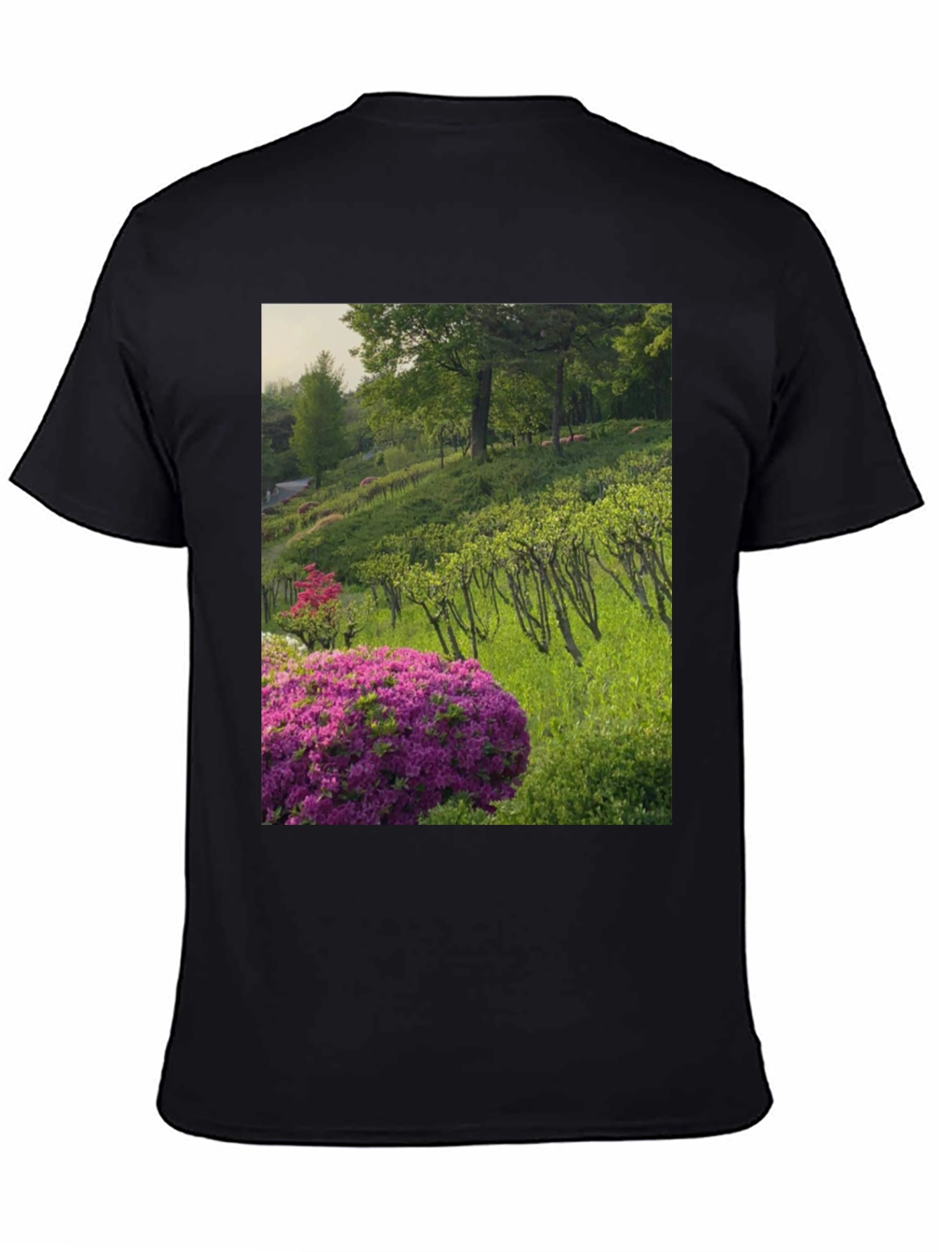 Nature Vineyard Graphic Tee