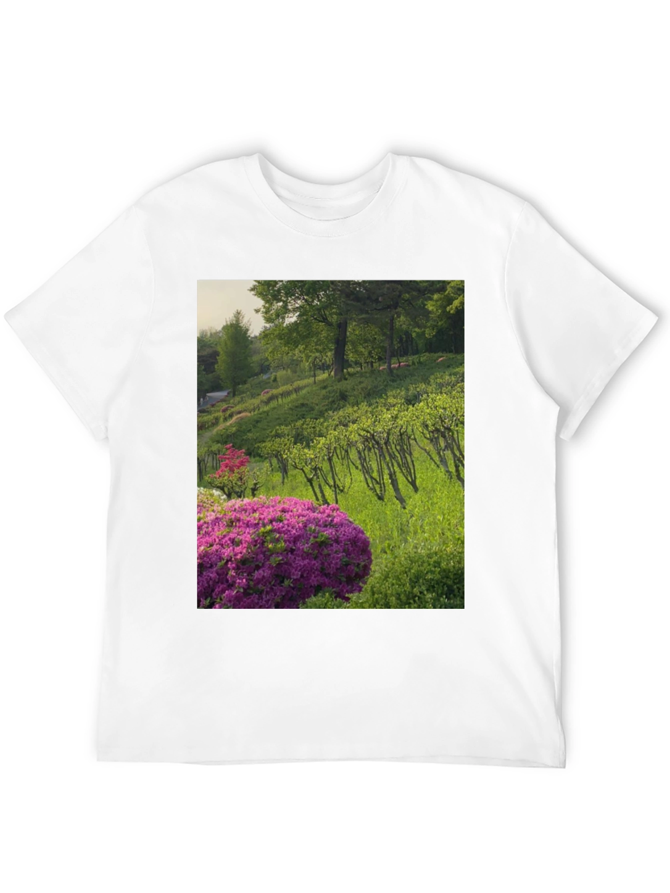 Nature Vineyard Graphic Tee