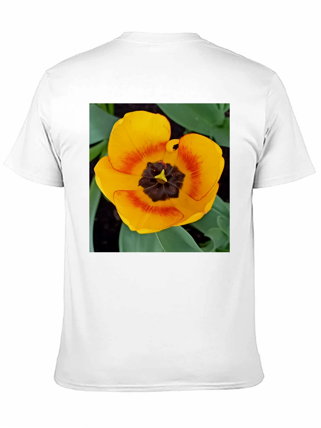 Yellow Tulip Graphic Tee - Floral Print Shirt