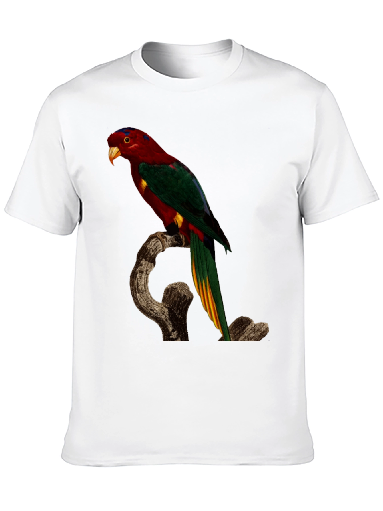 Parrot Print Black T-Shirt