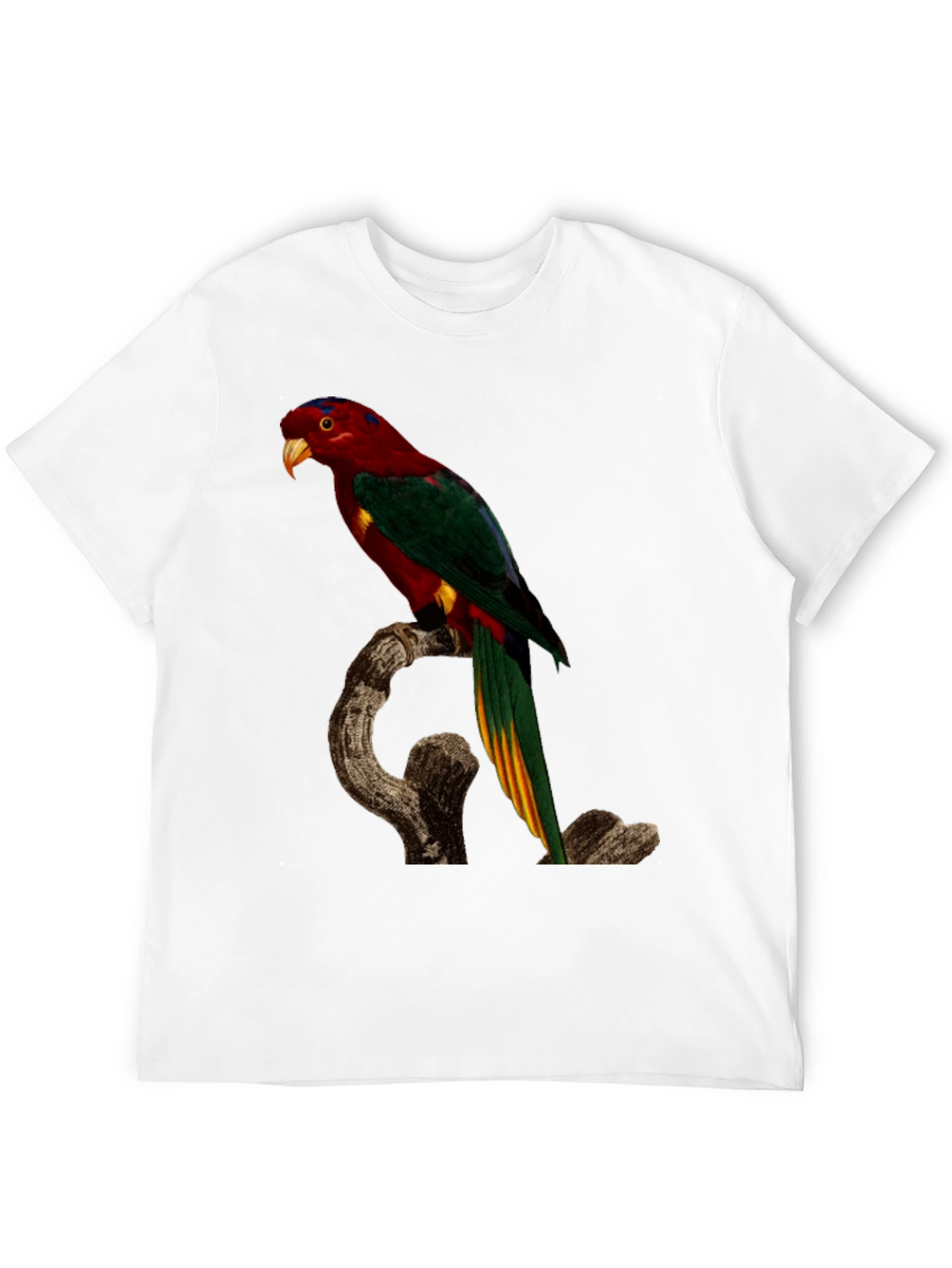 Parrot Print Black T-Shirt
