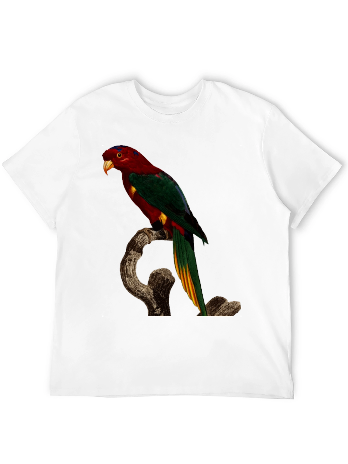 Parrot Print Black T-Shirt