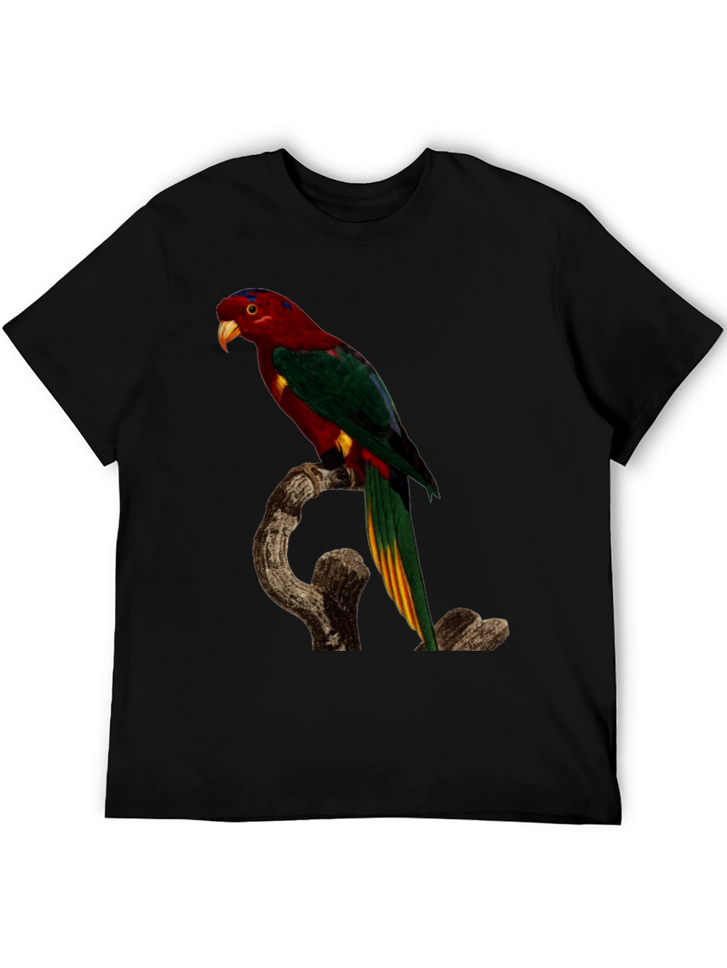 Parrot Print Black T-Shirt
