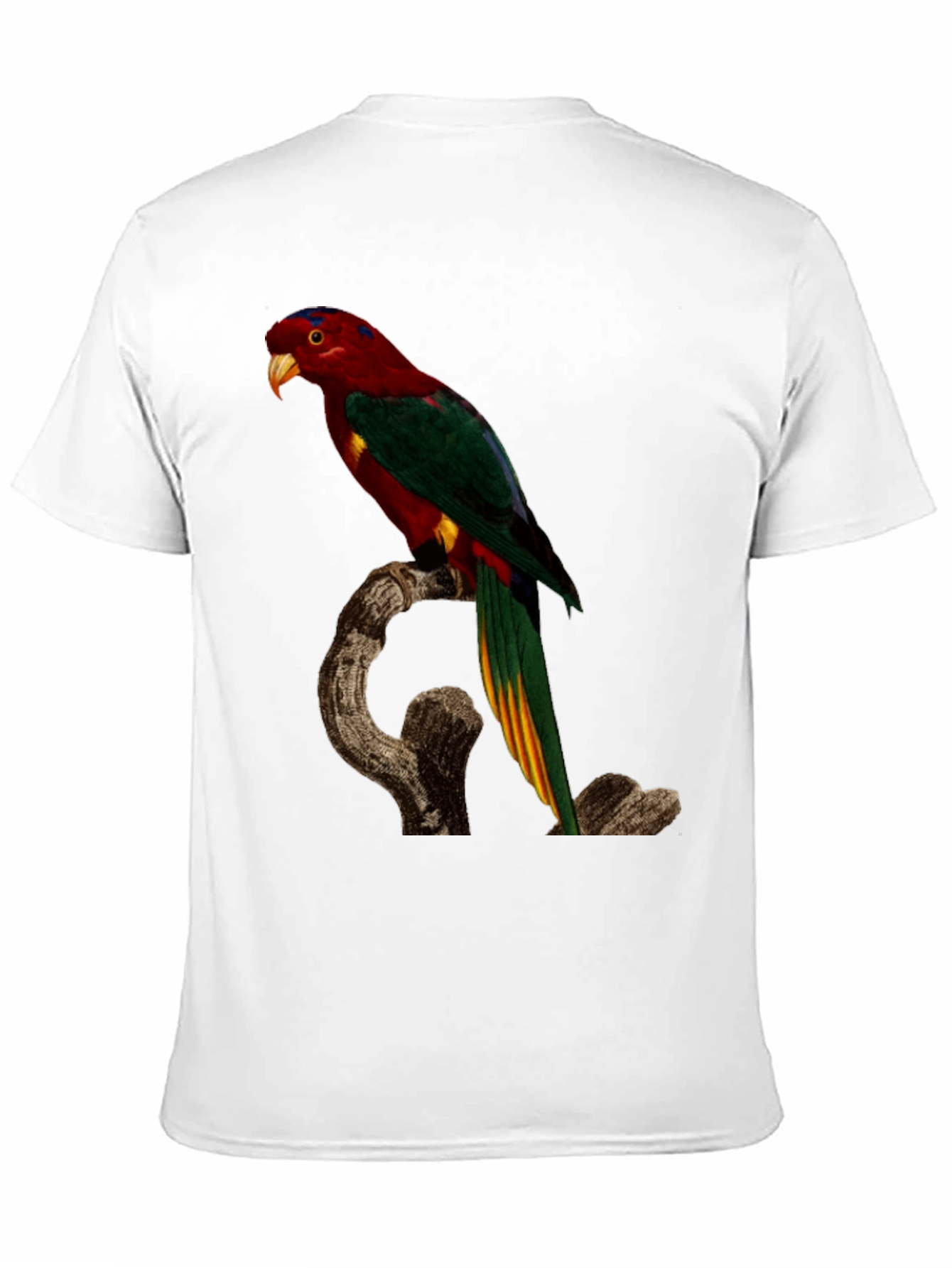 Parrot Print Black T-Shirt