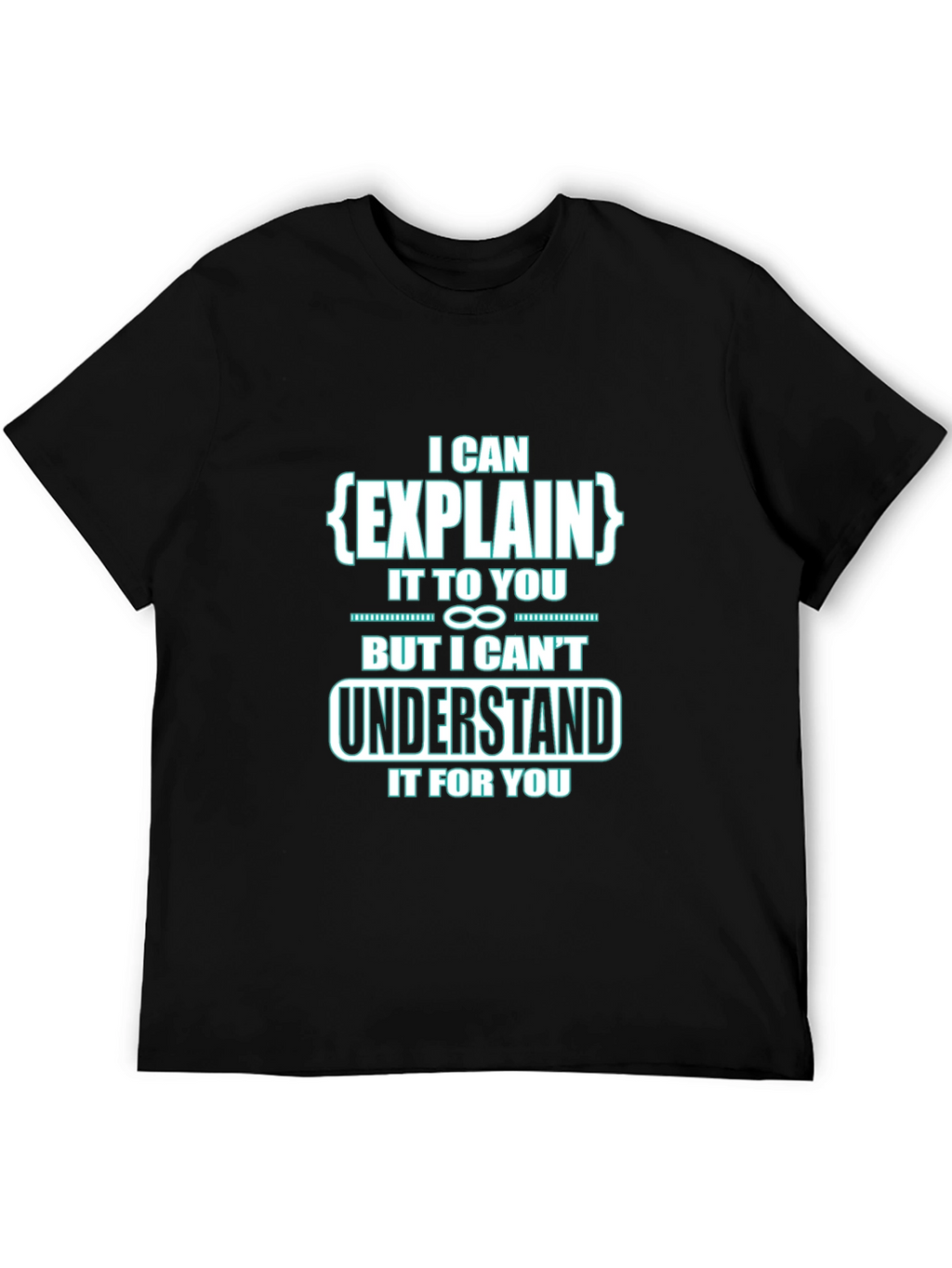 I Can Explain It To You Funny Black T-Shirt