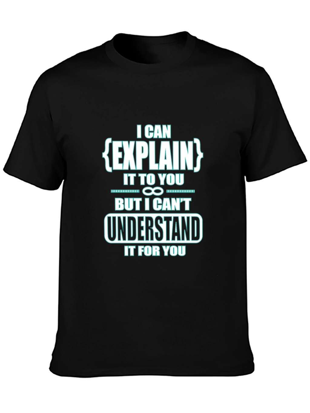 I Can Explain It To You Funny Black T-Shirt