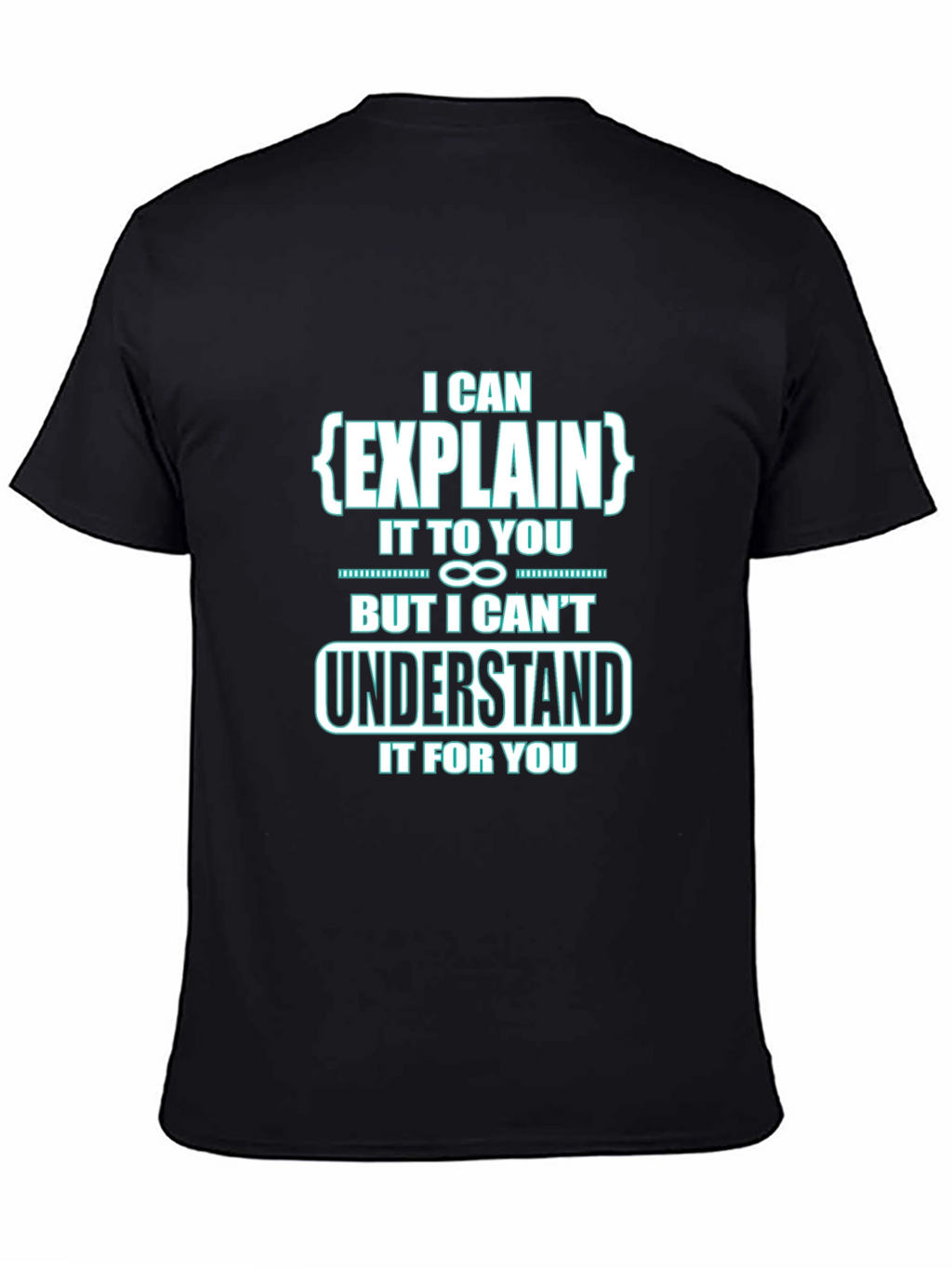 I Can Explain It To You Funny Black T-Shirt