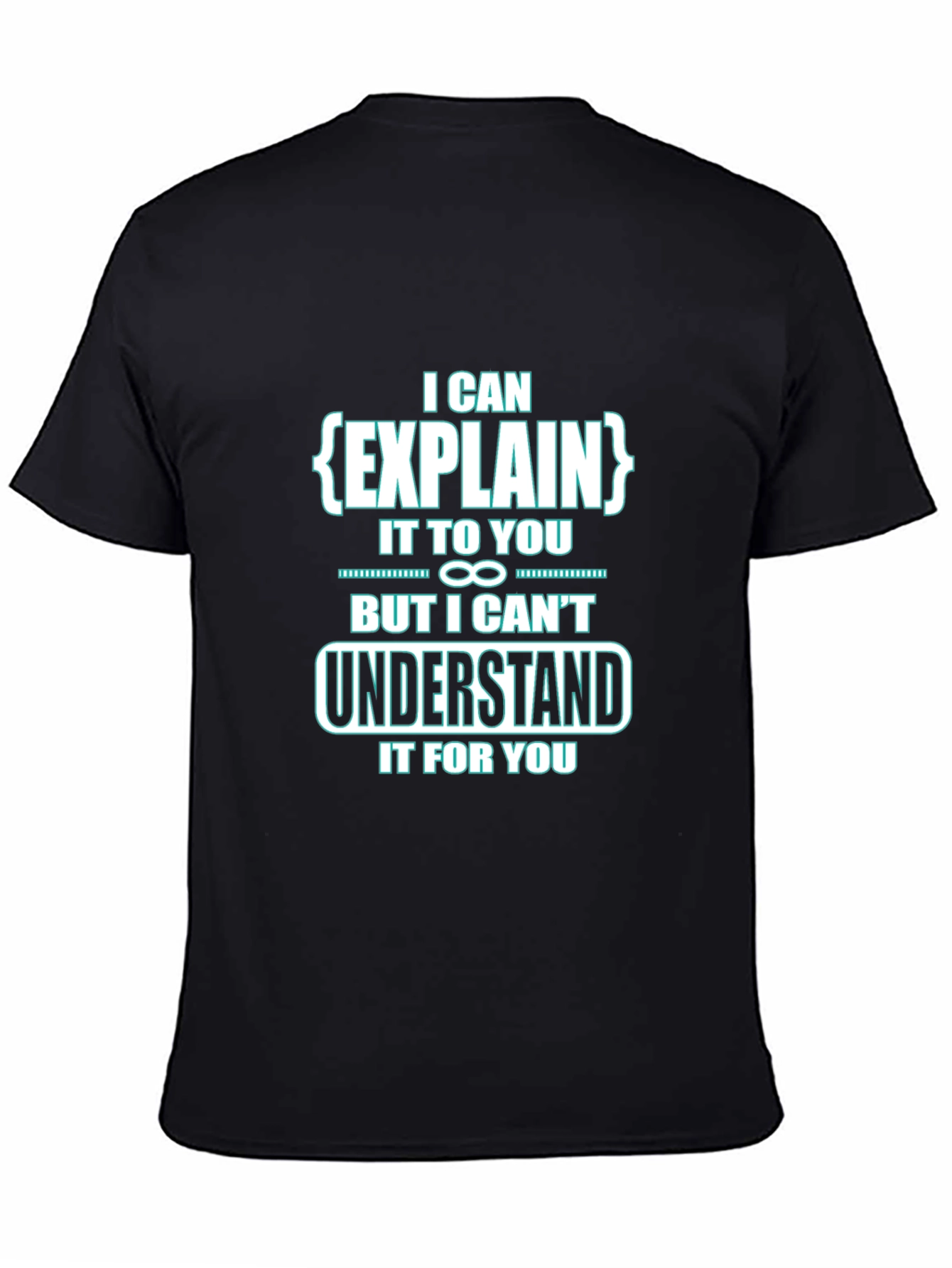 I Can Explain It To You Funny Black T-Shirt